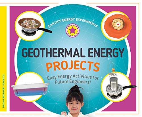 Beispielbild fr Geothermal Energy Projects zum Verkauf von Blackwell's