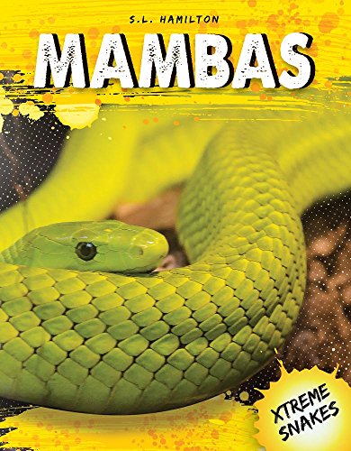 Stock image for Mambas for sale by Better World Books