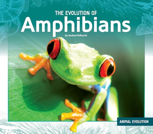 Stock image for Evolution of Amphibians (Animal Evolution) for sale by HPB-Ruby