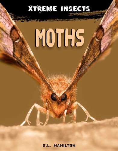 Beispielbild fr Moths zum Verkauf von Blackwell's