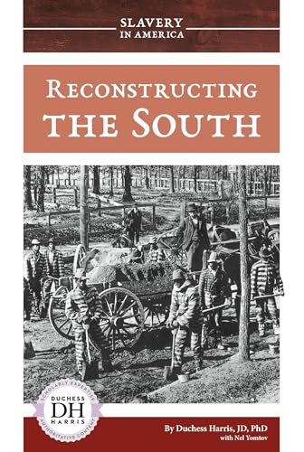Beispielbild fr Reconstructing the South zum Verkauf von Better World Books
