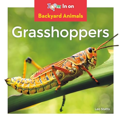 9781532120053: Grasshoppers (Backyard Animals (Launch!))