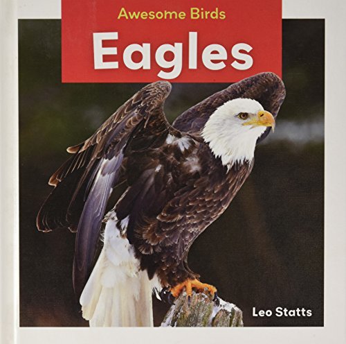 9781532120572: Eagles (Awesome Birds)