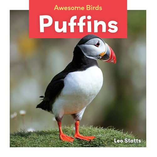 Stock image for Puffins (Awesome Birds) for sale by Irish Booksellers