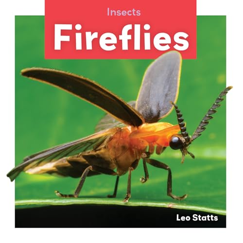 Stock image for Fireflies for sale by Better World Books