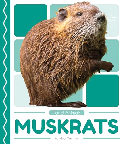Stock image for Muskrats (Pond Animals) for sale by HPB Inc.