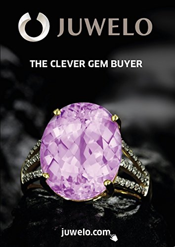 9781532309977: Juwelo - The Clever Gem Buyer