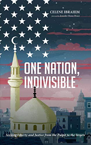 9781532645716: One Nation, Indivisible: Seeking Liberty and Justice from the Pulpit to the Streets