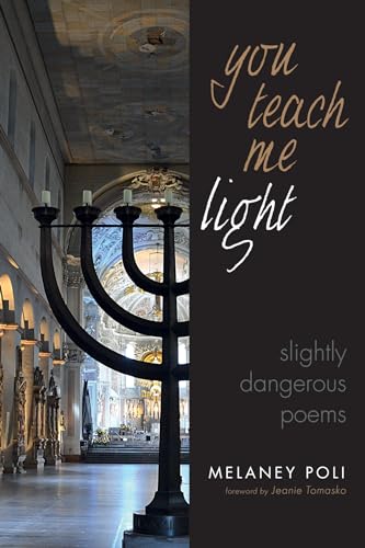 Imagen de archivo de You Teach Me Light: Slightly Dangerous Poems a la venta por Chiron Media