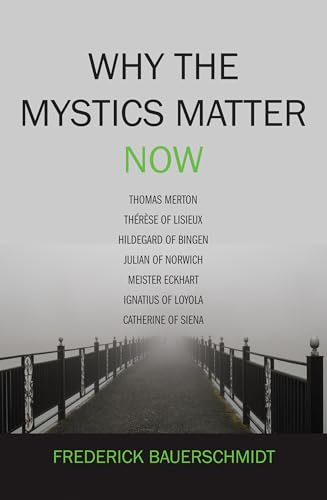 Beispielbild fr Why the Mystics Matter Now zum Verkauf von TextbookRush