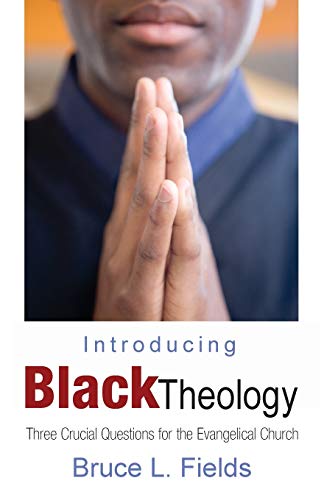 Imagen de archivo de Introducing Black Theology a la venta por ThriftBooks-Atlanta