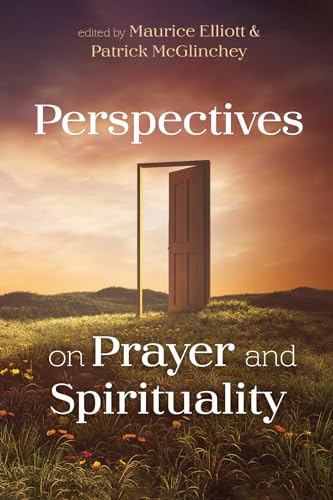 Imagen de archivo de Perspectives on Prayer and Spirituality a la venta por Chiron Media