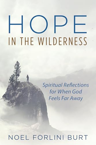 Beispielbild fr Hope in the Wilderness zum Verkauf von ThriftBooks-Atlanta