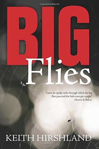 Imagen de archivo de Big Flies a la venta por Buyback Express