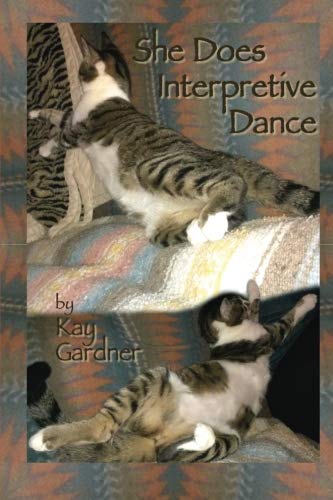 9781532773372: she does interpretive dance