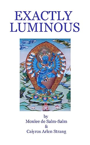 Stock image for Exactly Luminous: The erotic spiritual poems of the 6th Dalai Lama, Tsanyang Gyatso for sale by Russell Books