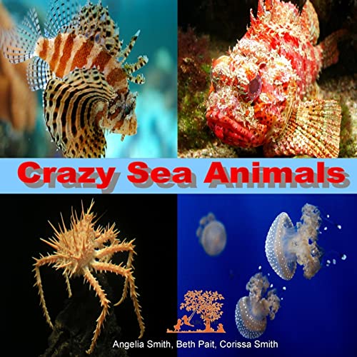 Imagen de archivo de Crazy Sea Animals (Bright) a la venta por Lucky's Textbooks