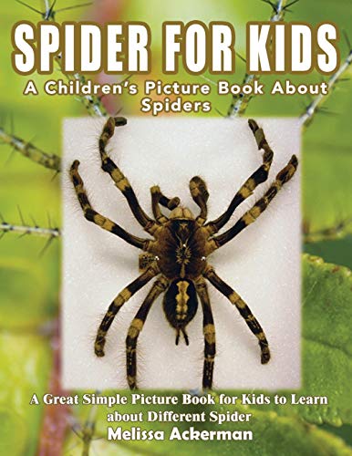 Stock image for Spiders for Kids: A Children's Picture Book About Spiders: A Great Simple Picture Book for Kids to Learn about Different Spiders for sale by ThriftBooks-Dallas