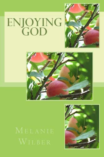Stock image for Enjoying God for sale by ThriftBooks-Atlanta