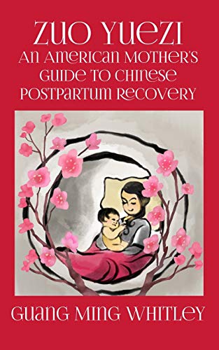 Stock image for Zuo Yuezi: An American Mother's Guide to Chinese Postpartum Recovery for sale by -OnTimeBooks-