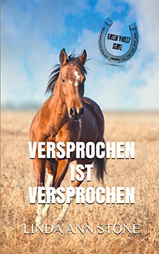 Stock image for Versprochen ist versprochen: Volume 9 (Green Valley Serie) for sale by Reuseabook
