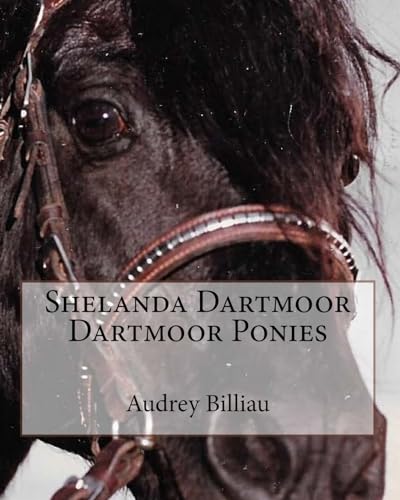 Stock image for Shelanda Dartmoor Dartmoor Ponies for sale by THE SAINT BOOKSTORE