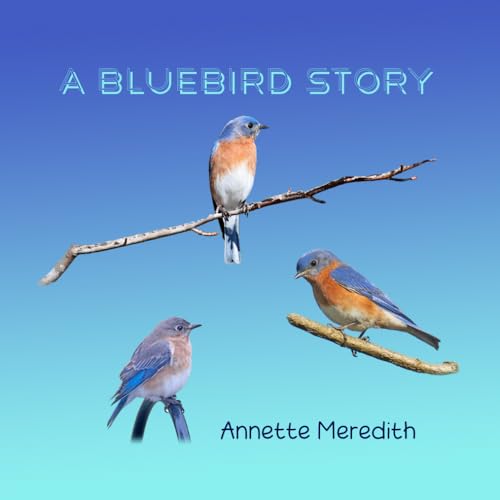 Stock image for A Bluebird Story for sale by SecondSale