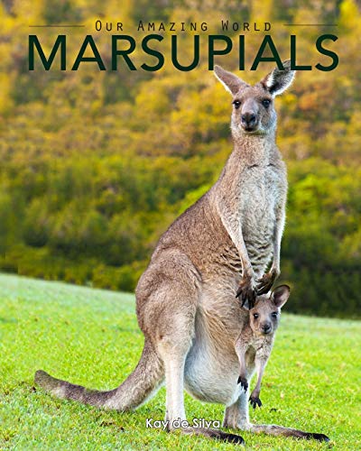 Beispielbild fr Marsupials: Amazing Pictures & Fun Facts of Animals in Nature (Our Amazing World Series) zum Verkauf von WorldofBooks