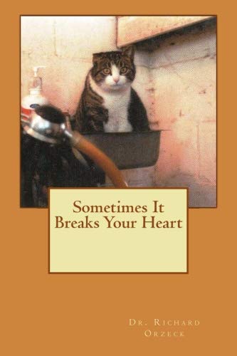Imagen de archivo de Sometimes It Breaks Your Heart a la venta por THE SAINT BOOKSTORE