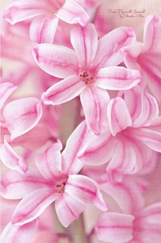 9781533438034: Pink Hyacinth Journal: (Blank Book, Notebook, Diary)