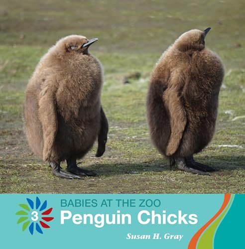 Beispielbild fr Penguin Chicks zum Verkauf von Buchpark