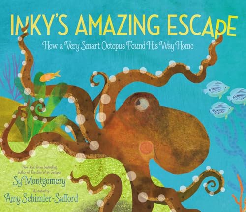 Imagen de archivo de Inky's Amazing Escape: How a Very Smart Octopus Found His Way Home a la venta por SecondSale