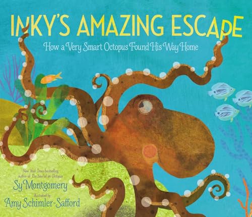 Stock image for Inky's Amazing Escape: How a Very Smart Octopus Found His Way Home for sale by SecondSale