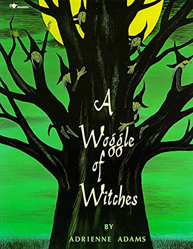 9781534412460: A Woggle of Witches [Lingua inglese]