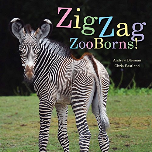 Imagen de archivo de ZigZag ZooBorns!: Zoo Baby Colors and Patterns a la venta por SecondSale