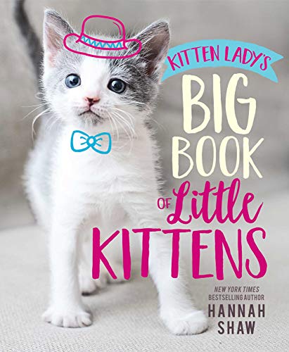 Beispielbild fr Kitten Lady's Big Book of Little Kittens zum Verkauf von ThriftBooks-Atlanta