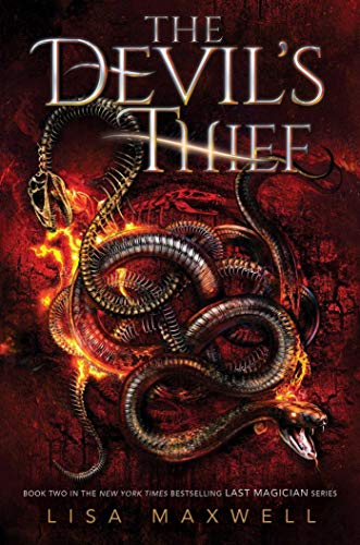 Stock image for Devil's Thief,The for sale by New Story Community Books