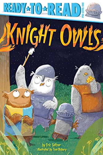 9781534448803: Knight Owls: Ready-To-Read Pre-Level 1 (Ready-to-Read, Pre-Level One)