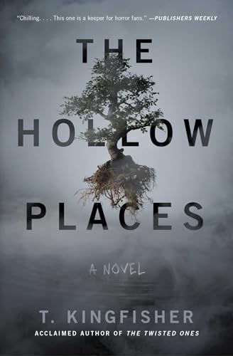 Beispielbild fr The Hollow Places zum Verkauf von WorldofBooks