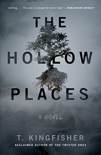 9781534451124: The Hollow Places: A Novel