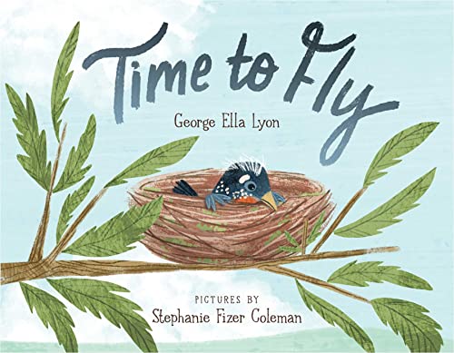 Stock image for Time to Fly for sale by Goodwill Books