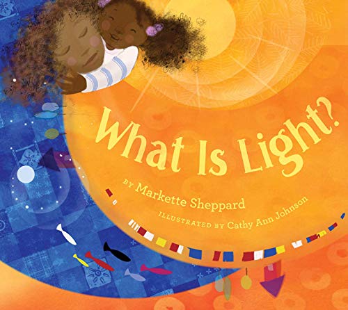 9781534476516: What Is Light?