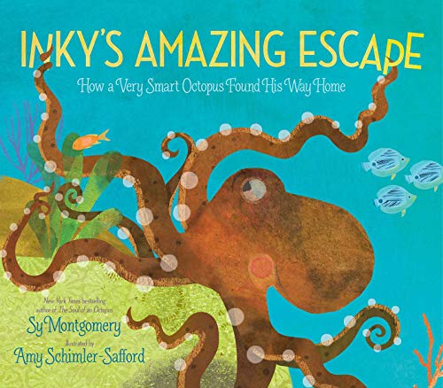 Stock image for Inky's Amazing Escape: How a Very Smart Octopus Found His Way Home for sale by SecondSale