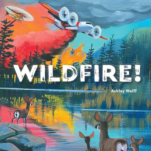 Beispielbild fr Wildfire! zum Verkauf von Better World Books