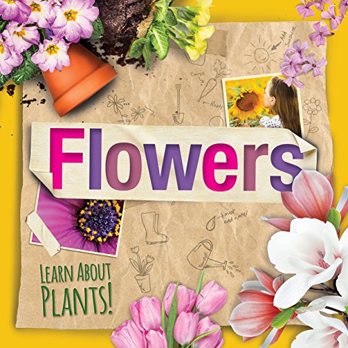 Beispielbild fr Flowers zum Verkauf von Better World Books