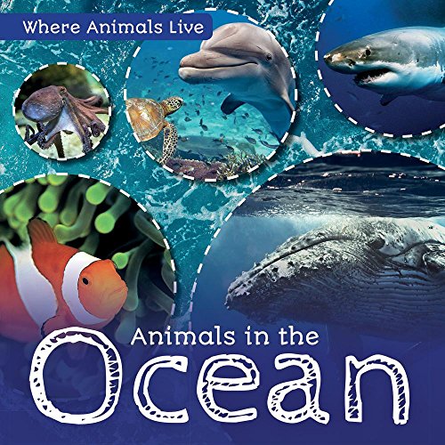 Beispielbild fr Animals in the Ocean (Where Animals Live) zum Verkauf von Reuseabook