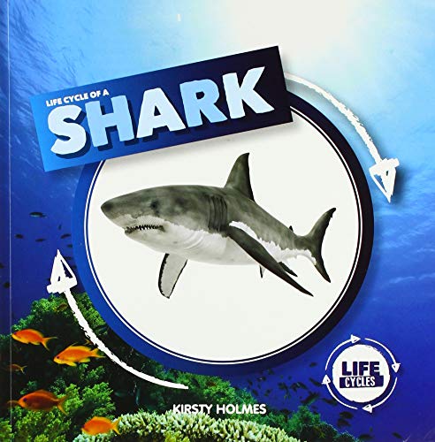 9781534526402: Life Cycle of a Shark (Life Cycles)