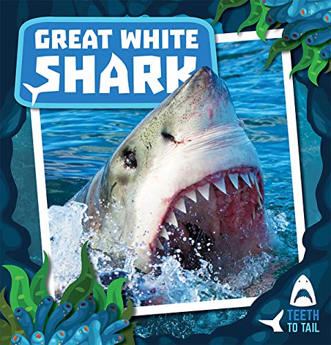 Beispielbild fr Great White Shark (Teeth to Tail) zum Verkauf von Buchpark