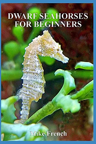 9781534642690: Dwarf Seahorses For Beginners