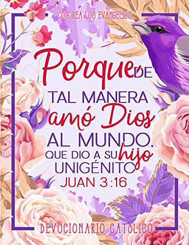 Stock image for Colorea Los Evangelios: Devocionario Catlico: Un Libro de Colorear Para Adultos for sale by Revaluation Books